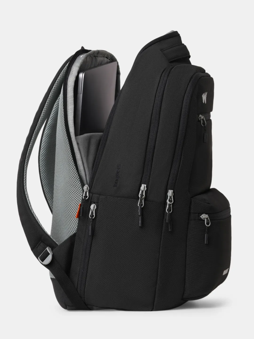 Ranger 45 Litres Laptop Backpack-Black
